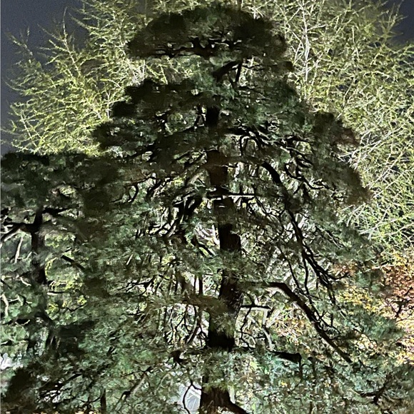 anitag805